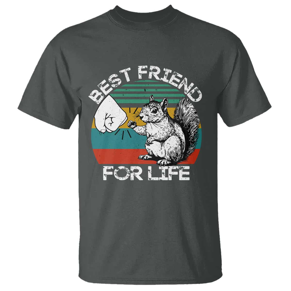 Squirrel Lover T Shirt Funny Vintage Squirrel Gift Best Friend For Life TS10 Dark Heather Print Your Wear