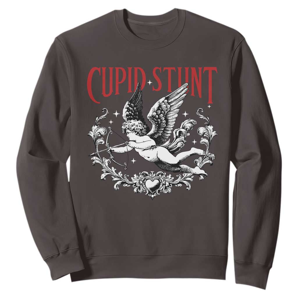 Valentines Party Retro Cupid Stunt Sweatshirt TS10 Dark Chocolate Print Your Wear