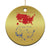 Funny Trump Christmas Ornament 2024 Electoral Map Merry Christmas America Happy Holiday TS10 Print Your Wear