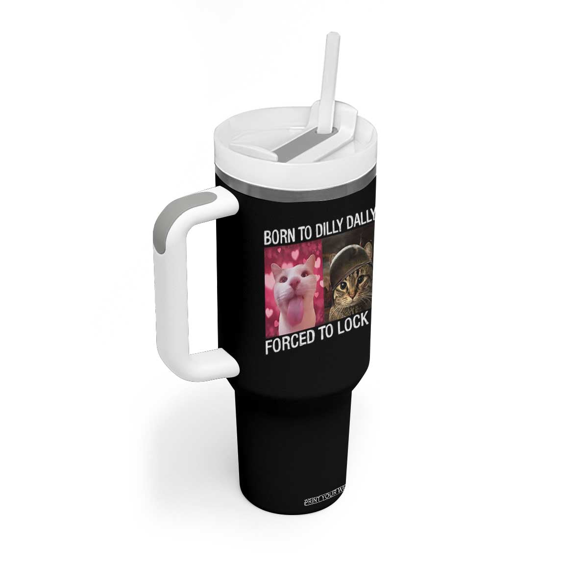 Meme Cat Tumbler With Handle Born To Dilly Dally Forced To Lock In Funny Saying Cats TS10 Print Your Wear