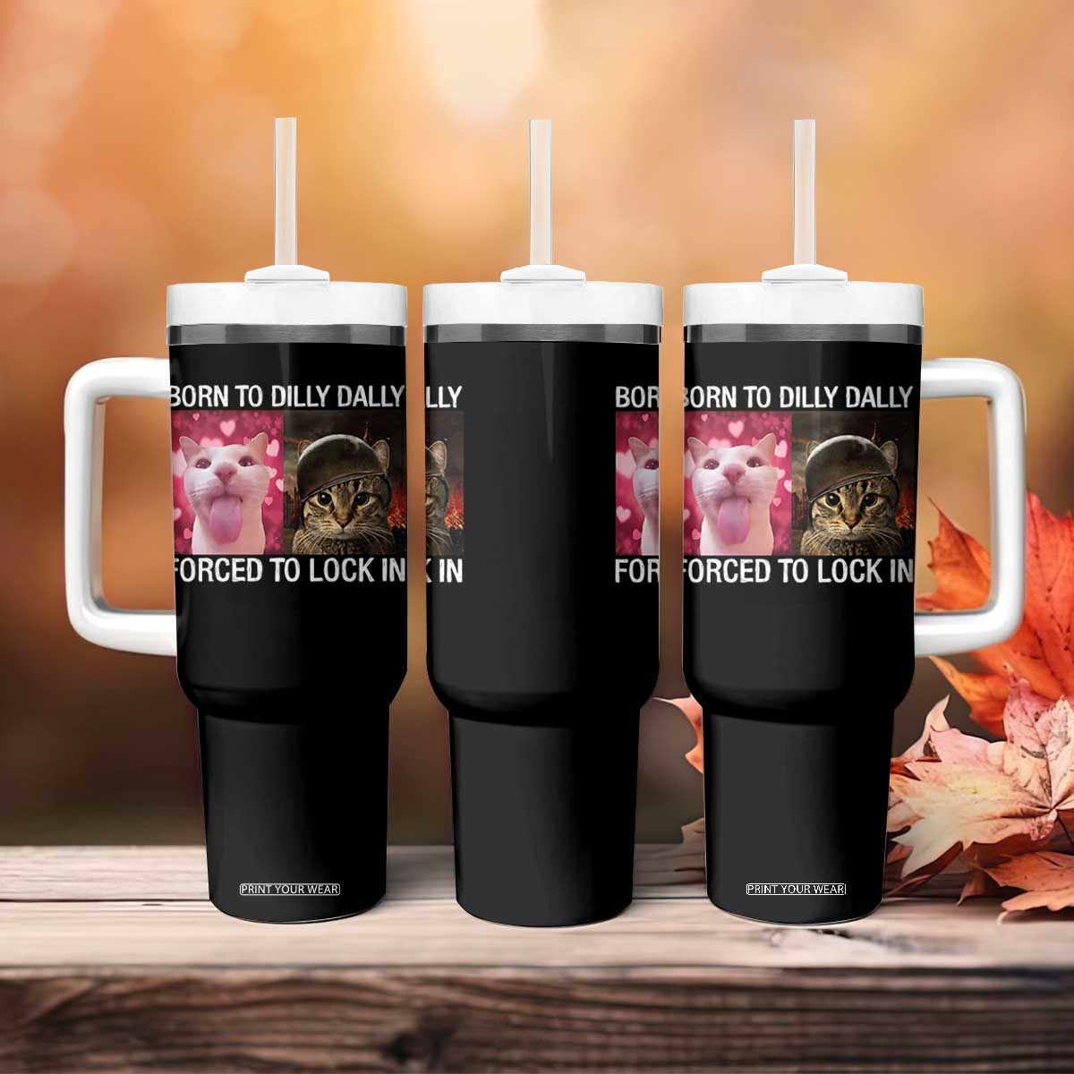 Meme Cat Tumbler With Handle Born To Dilly Dally Forced To Lock In Funny Saying Cats TS10 Print Your Wear