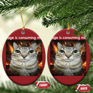 Rage Is Consuming Me Cat Christmas Ornament Funny Weird Humor Silly Cat Meme TS10 Oval Red Print Your Wear
