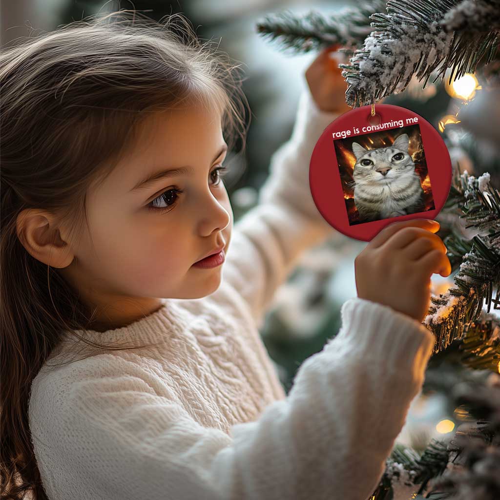 Rage Is Consuming Me Cat Christmas Ornament Funny Weird Humor Silly Cat Meme TS10 Print Your Wear