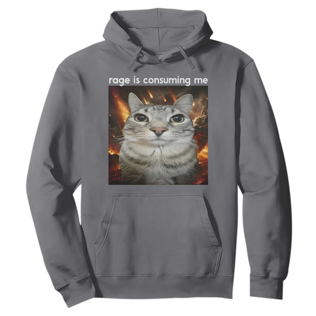 Rage Is Consuming Me Cat Hoodie Funny Weird Humor Silly Cat Meme TS10 Charcoal Print Your Wear