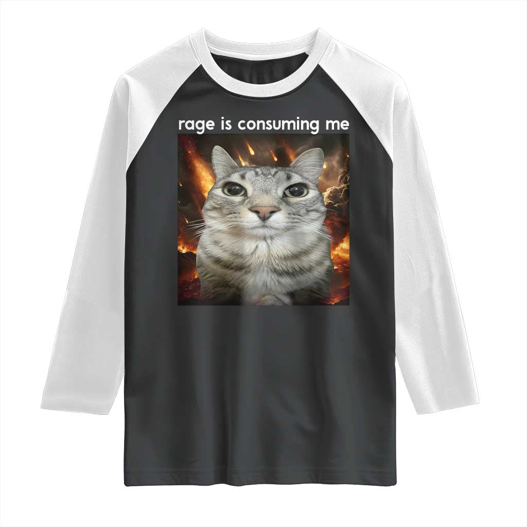 Rage Is Consuming Me Cat Raglan Shirt Funny Weird Humor Silly Cat Meme TS10 Black White Print Your Wear