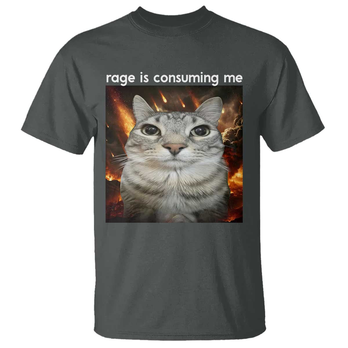 Rage Is Consuming Me Cat T Shirt Funny Weird Humor Silly Cat Meme TS10 Dark Heather Print Your Wear