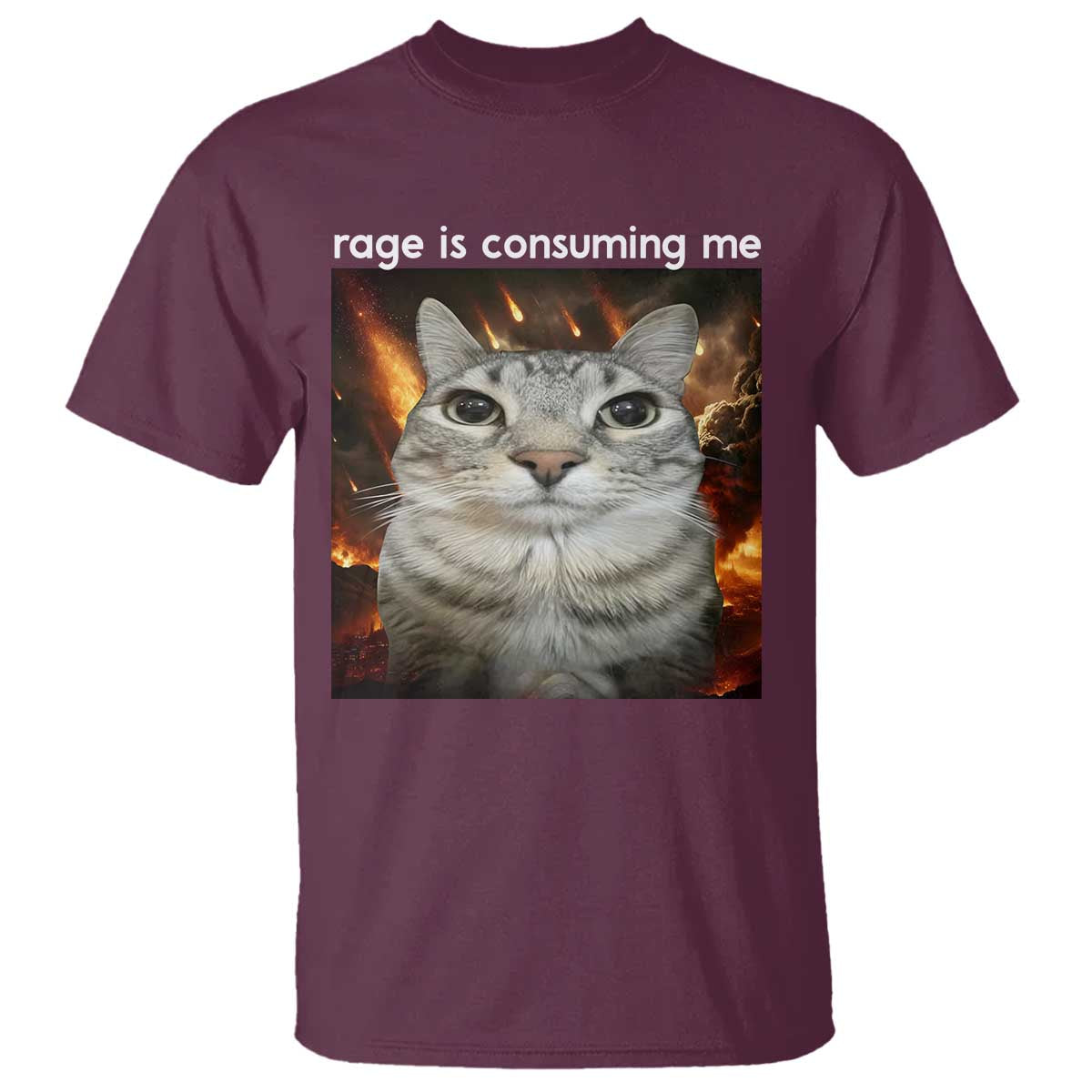 Rage Is Consuming Me Cat T Shirt Funny Weird Humor Silly Cat Meme TS10 Maroon Print Your Wear
