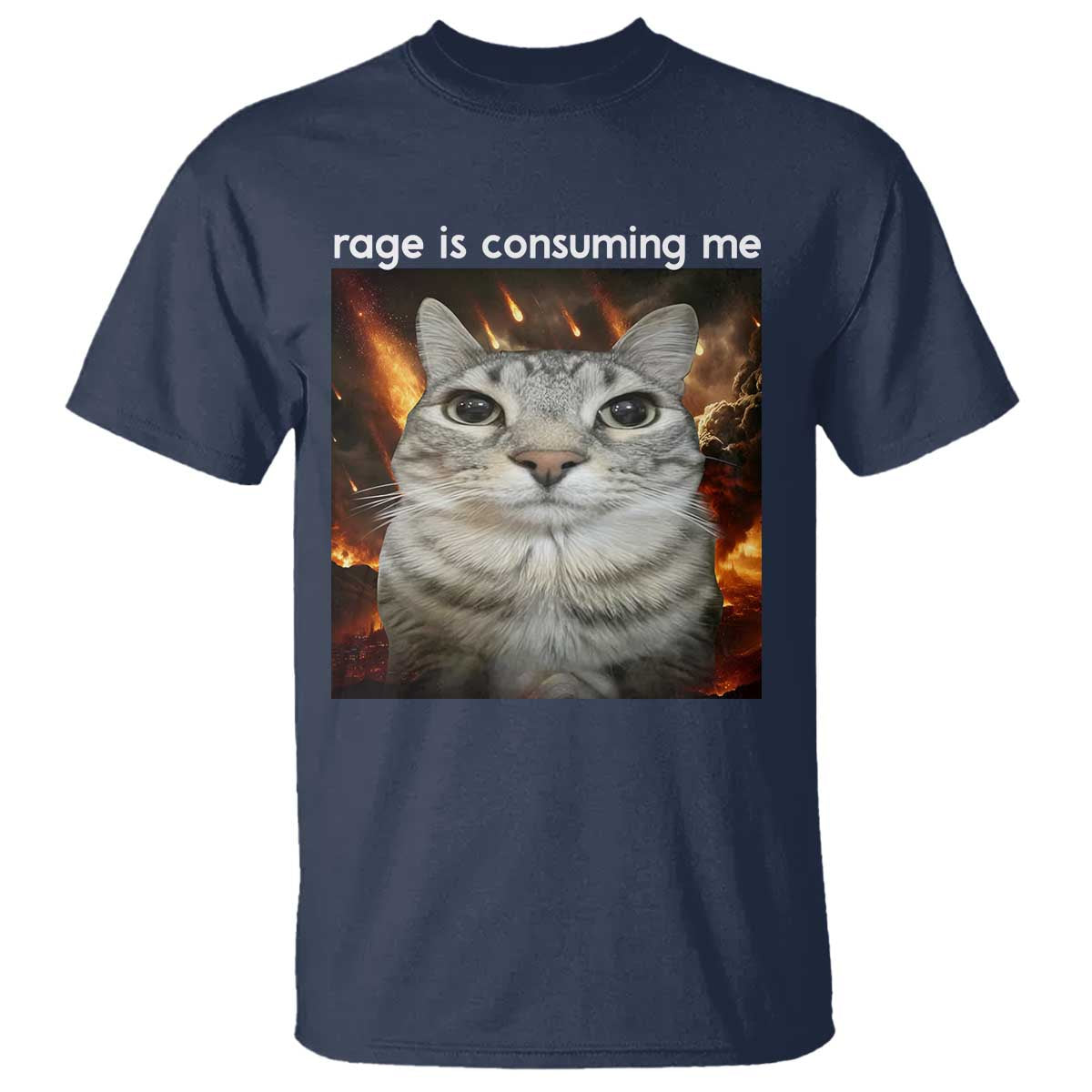 Rage Is Consuming Me Cat T Shirt Funny Weird Humor Silly Cat Meme TS10 Navy Print Your Wear