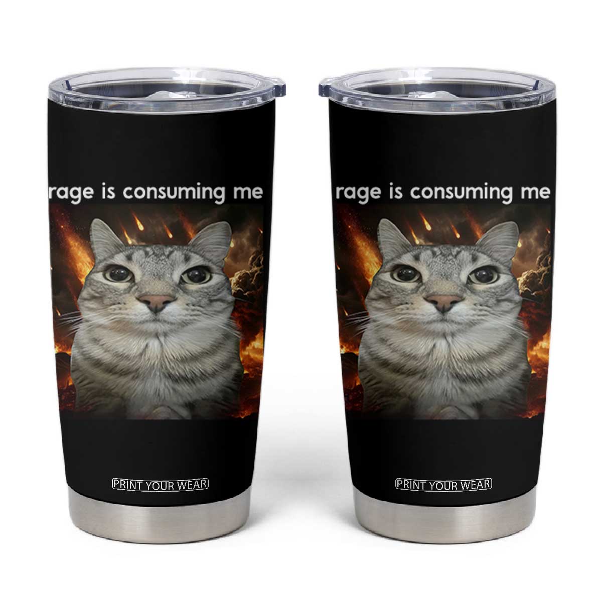 Rage Is Consuming Me Cat Tumbler Cup Funny Weird Humor Silly Cat Meme TS10 Black Print Your Wear