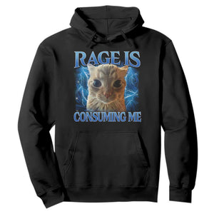 Rage Is Consuming Me Cat Meme Hoodie Funny Weird Humor Cat Face Bootleg TS10 Black Print Your Wear