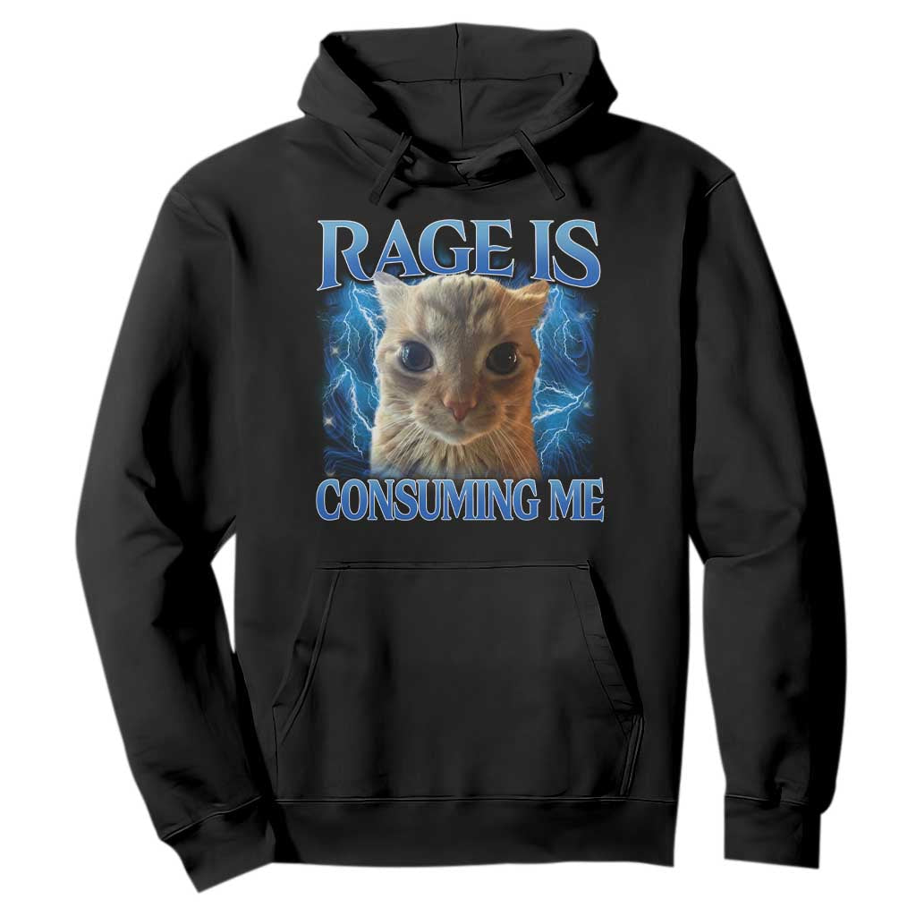 Rage Is Consuming Me Cat Meme Hoodie Funny Weird Humor Cat Face Bootleg TS10 Black Print Your Wear