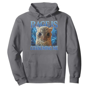 Rage Is Consuming Me Cat Meme Hoodie Funny Weird Humor Cat Face Bootleg TS10 Charcoal Print Your Wear