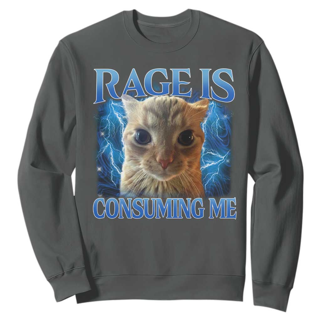 Rage Is Consuming Me Cat Meme Sweatshirt Funny Weird Humor Cat Face Bootleg TS10 Dark Heather Print Your Wear