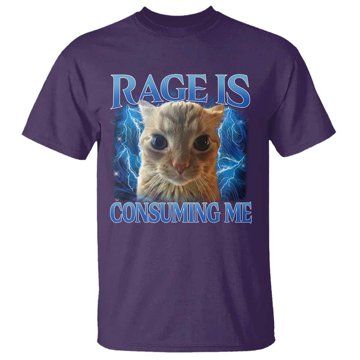 Rage Is Consuming Me Cat Meme T Shirt Funny Weird Humor Cat Face Bootleg TS10 Purple Print Your Wear