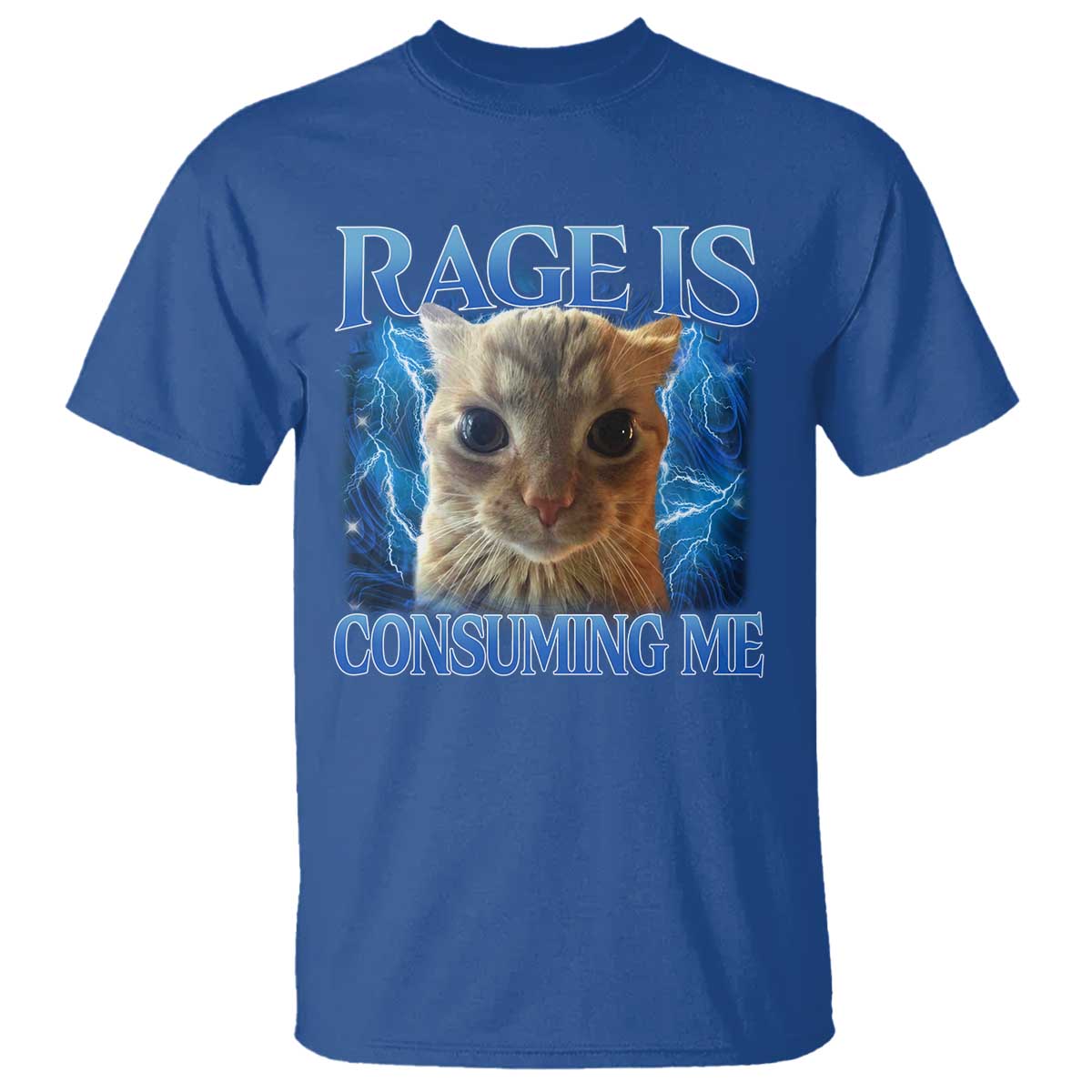 Rage Is Consuming Me Cat Meme T Shirt Funny Weird Humor Cat Face Bootleg TS10 Royal Blue Print Your Wear