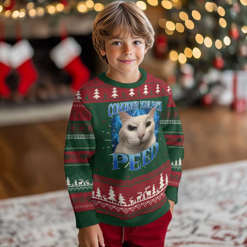 Meme Cat Knit Sweatshirt Funny Weird Humor Consider Your Pants Peed TS10 Christmas Print Your Wear