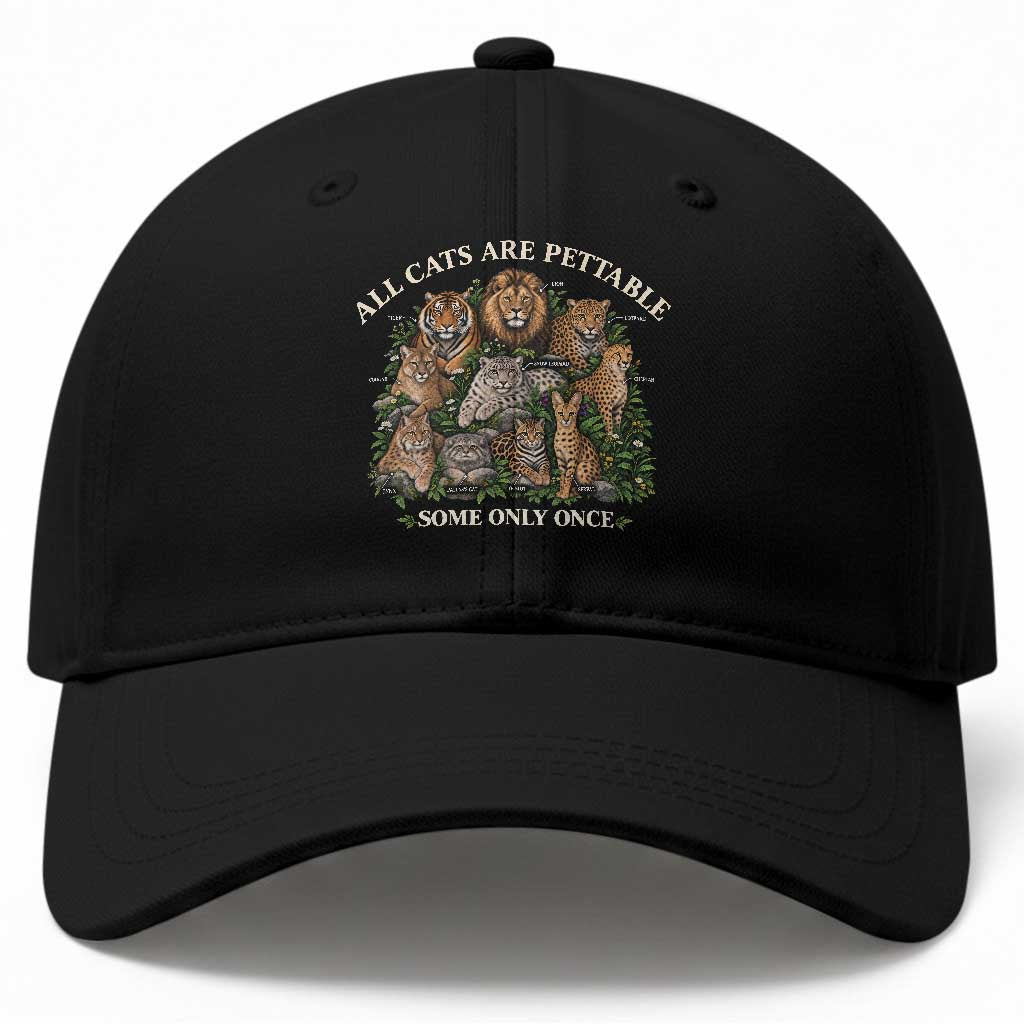 Vintage All Cats Are Pettable Some Only Once Baseball Cap Wild Cats Infographic Funny Big Cat Lover Sarcastic Aesthetic