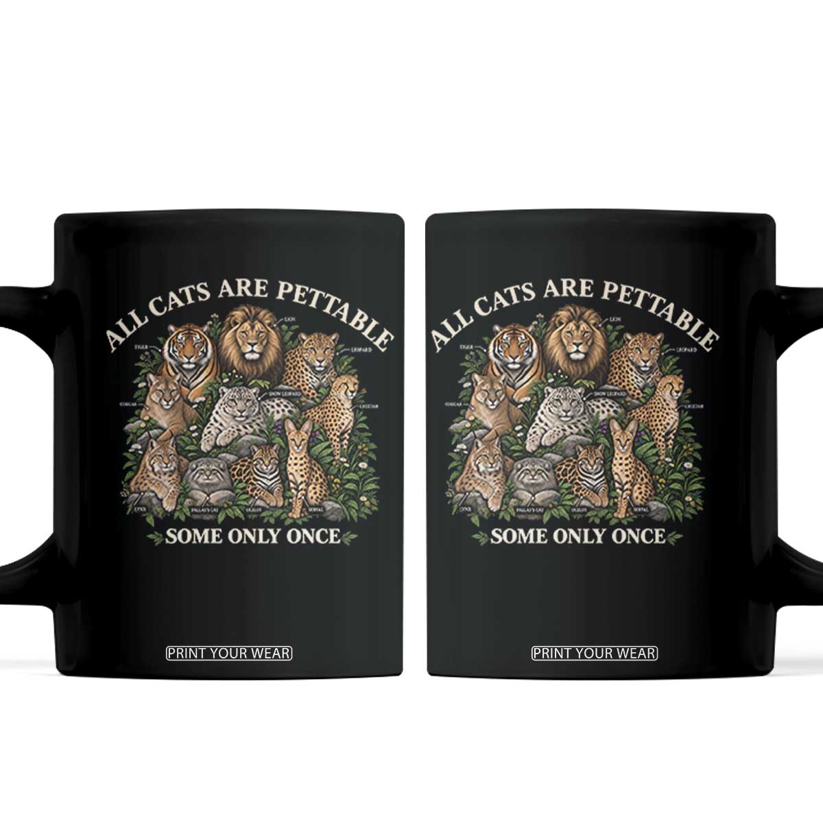 Vintage All Cats Are Pettable Some Only Once Coffee Mug Wild Cats Infographic Funny Big Cat Lover Sarcastic Aesthetic