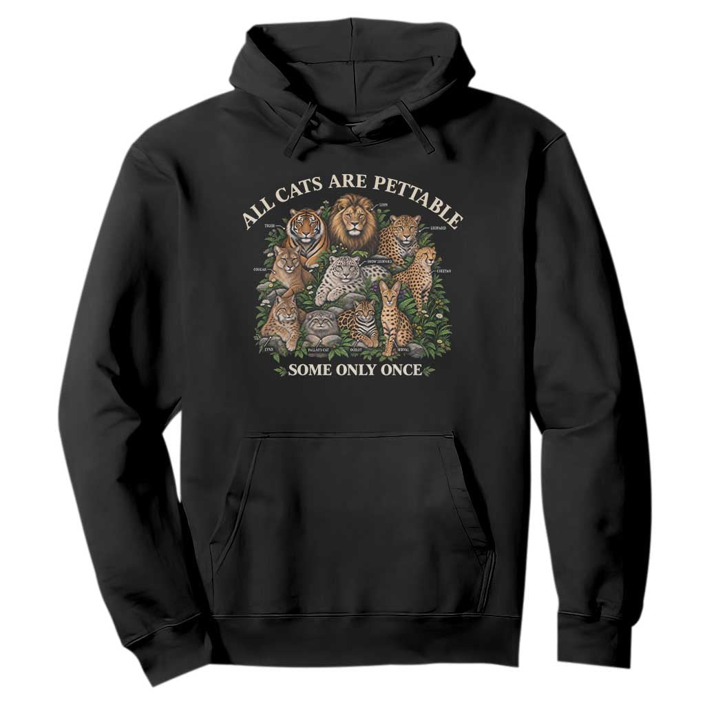 Vintage All Cats Are Pettable Some Only Once Hoodie Wild Cats Infographic Funny Big Cat Lover Sarcastic Aesthetic