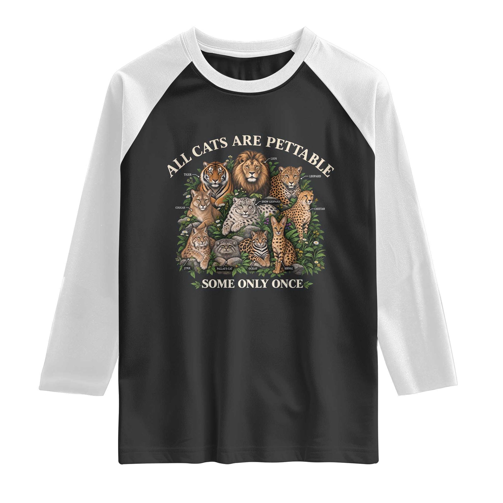 Vintage All Cats Are Pettable Some Only Once Raglan Shirt Wild Cats Infographic Funny Big Cat Lover Sarcastic Aesthetic