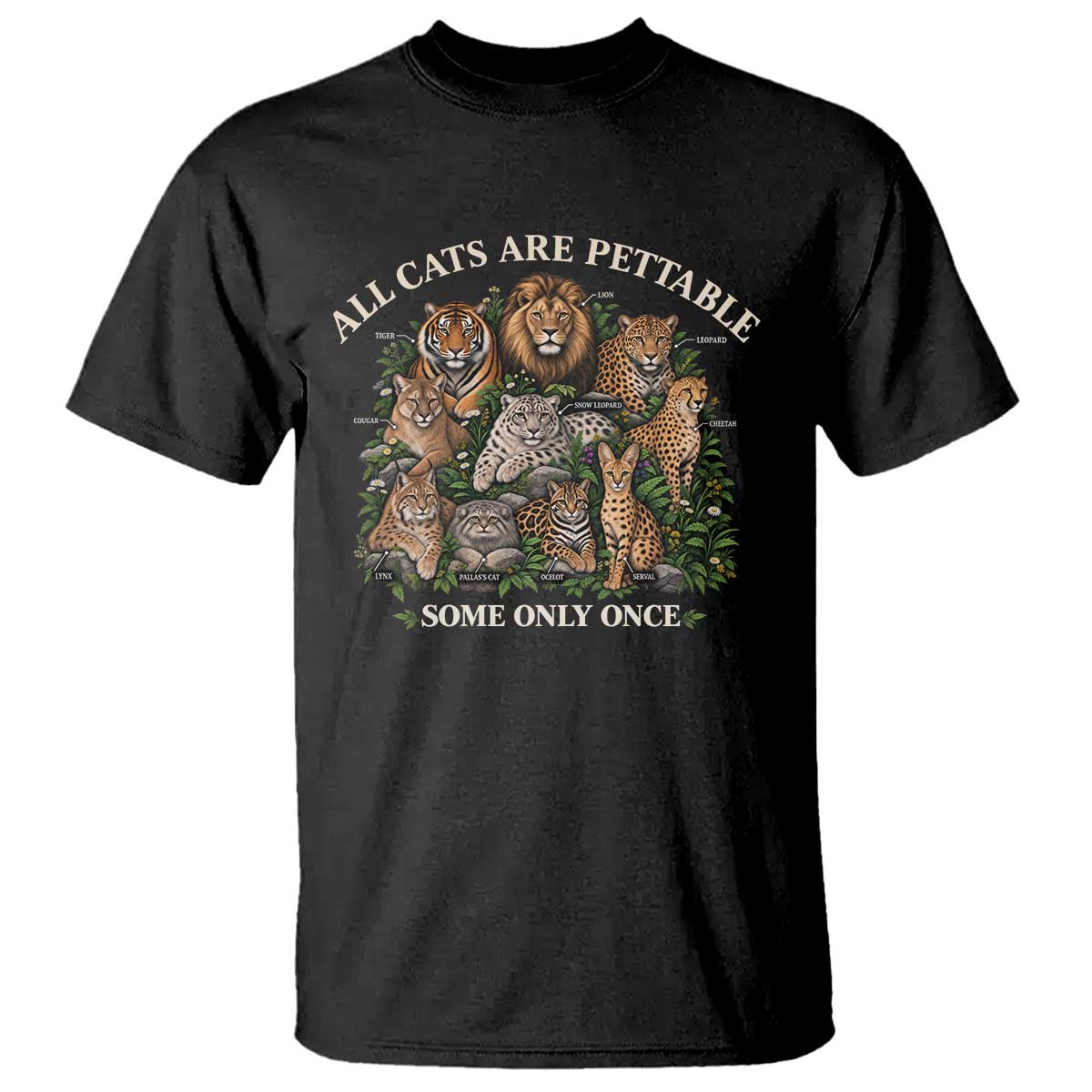 Vintage All Cats Are Pettable Some Only Once T Shirt Wild Cats Infographic Funny Big Cat Lover Sarcastic Aesthetic