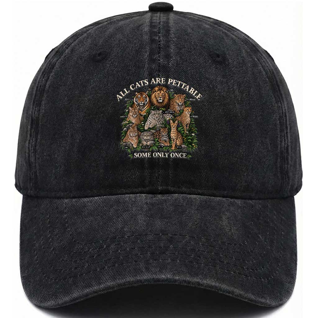 Vintage All Cats Are Pettable Some Only Once Washed Cotton Baseball Cap Wild Cats Infographic Funny Big Cat Lover Sarcastic Aesthetic