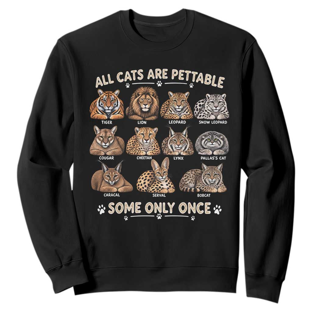 Vintage All Cats Are Pettable Some Only Once Sweatshirt Funny Big Cat Lover Sarcastic Wild Cats Aesthetic