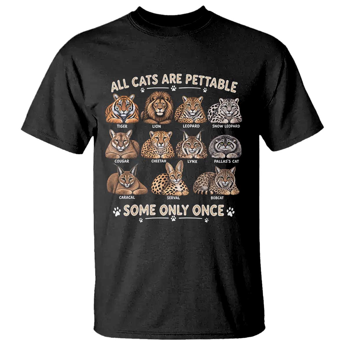 Vintage All Cats Are Pettable Some Only Once T Shirt Funny Big Cat Lover Sarcastic Wild Cats Aesthetic