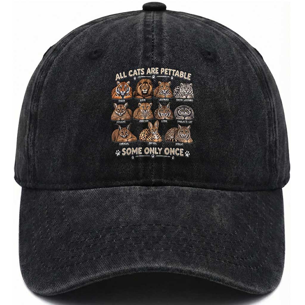 Vintage All Cats Are Pettable Some Only Once Washed Cotton Baseball Cap Funny Big Cat Lover Sarcastic Wild Cats Aesthetic