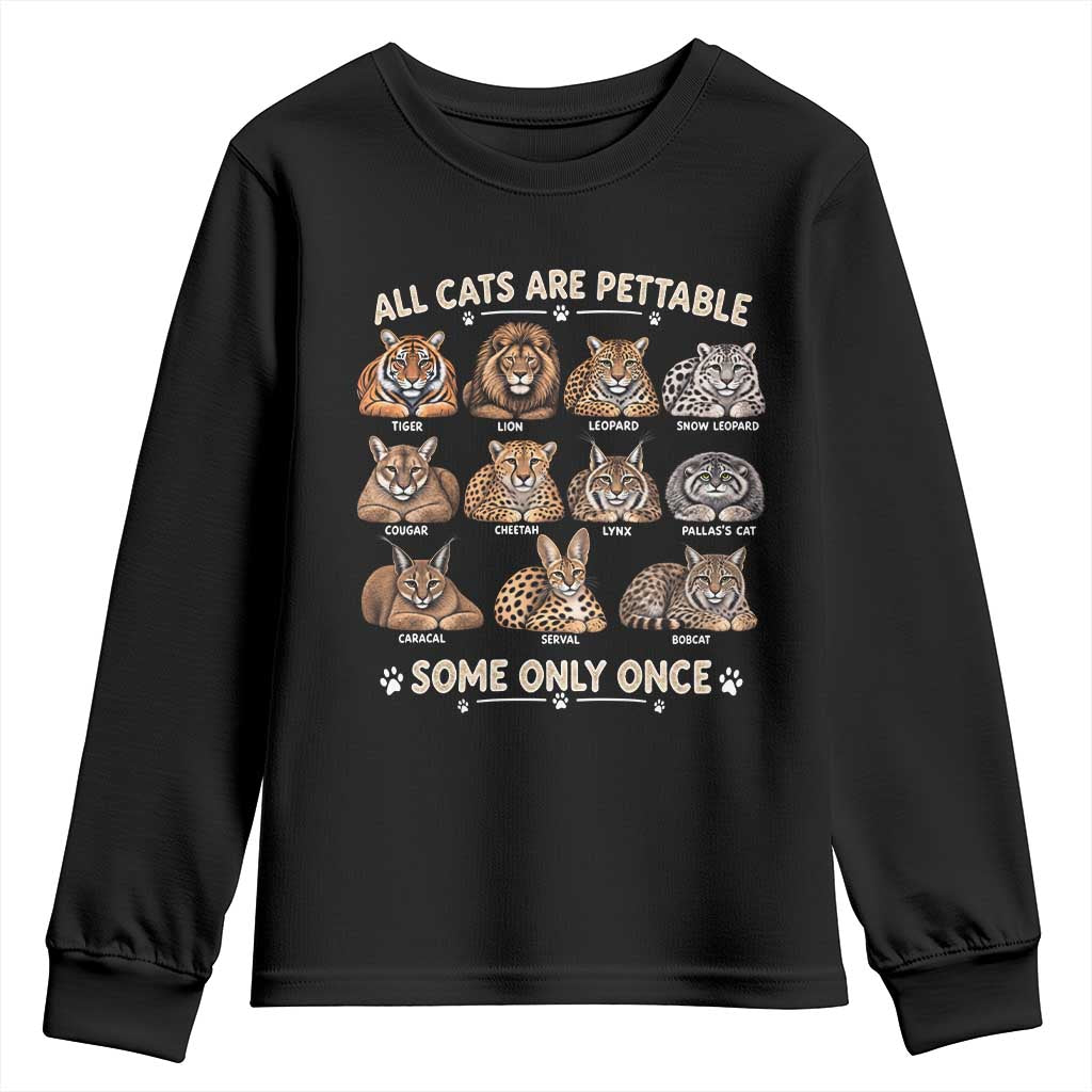 Vintage All Cats Are Pettable Some Only Once Youth Sweatshirt Funny Big Cat Lover Sarcastic Wild Cats Aesthetic