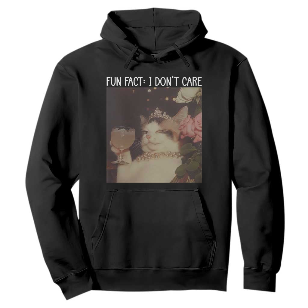 Cat Meme Hoodie Fun Fact I Dont Care Funny Saying Quote TS10 Black Print Your Wear