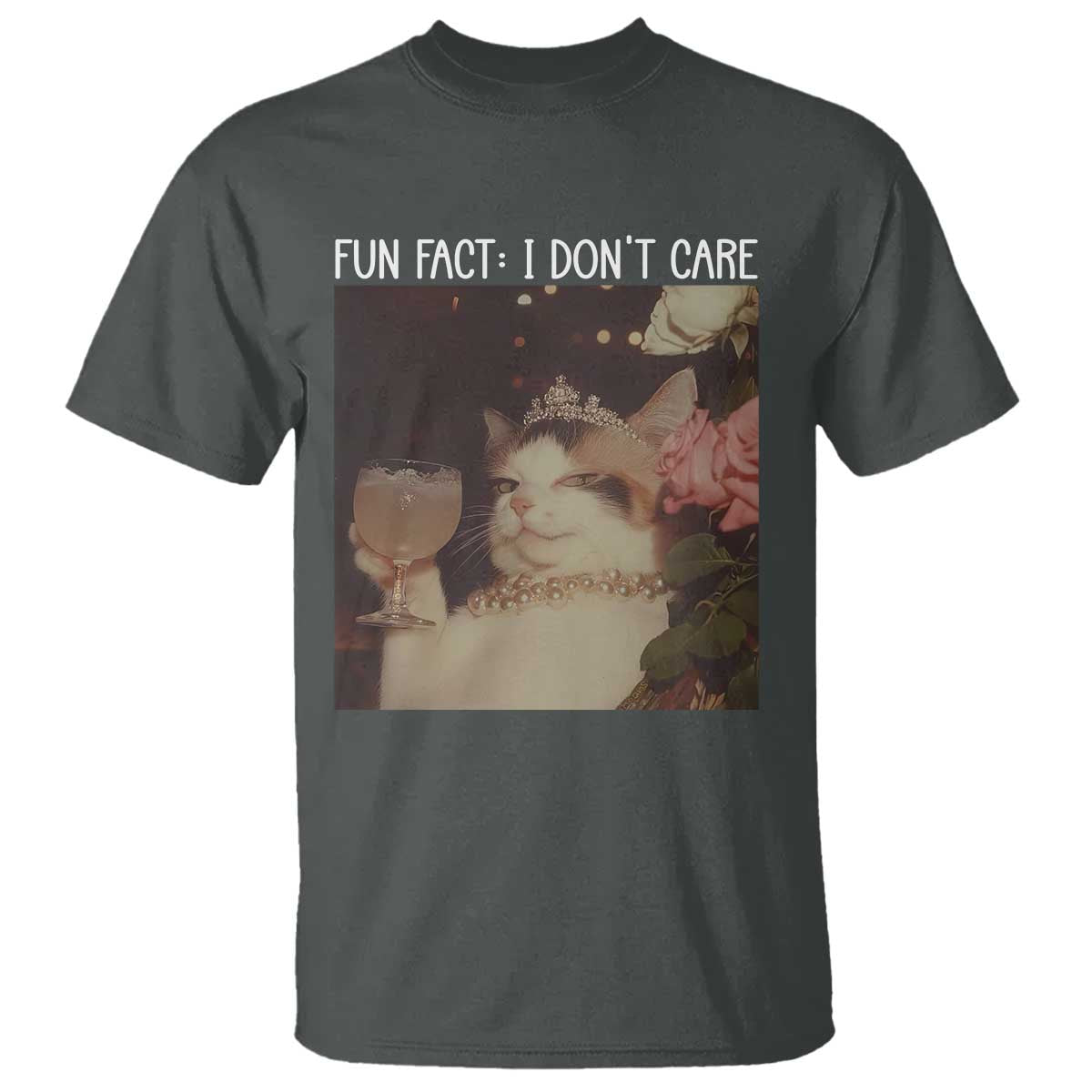 Cat Meme T Shirt Fun Fact I Dont Care Funny Saying Quote TS10 Dark Heather Print Your Wear