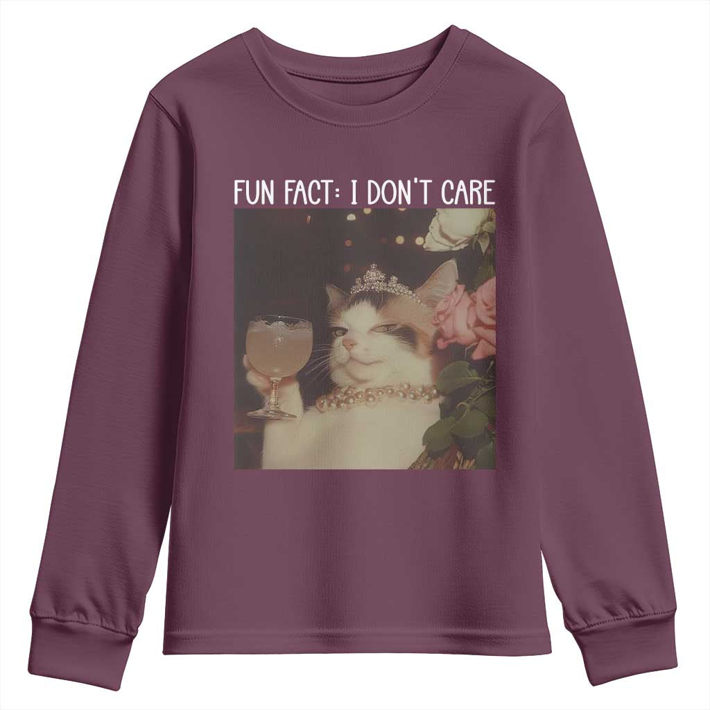 Cat Meme Youth Sweatshirt Fun Fact I Dont Care Funny Saying Quote TS10 Maroon Print Your Wear