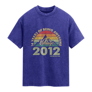 14th Birthday Washed Cotton T-Shirt Vintage 2012 Limited Edition 14 Year Old Gift