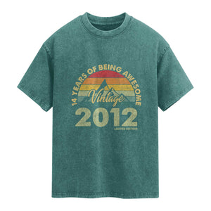14th Birthday Washed Cotton T-Shirt Vintage 2012 Limited Edition 14 Year Old Gift