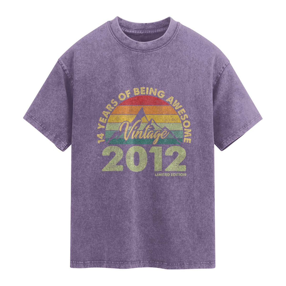 14th Birthday Washed Cotton T-Shirt Vintage 2012 Limited Edition 14 Year Old Gift