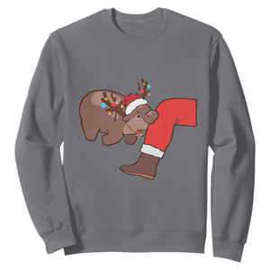 Funny Moo-Deng Christmas Sweatshirt MooDengMas Xmas Baby Pygmy Hippo Cute Zoo For Family Tee TS10 Charcoal Print Your Wear