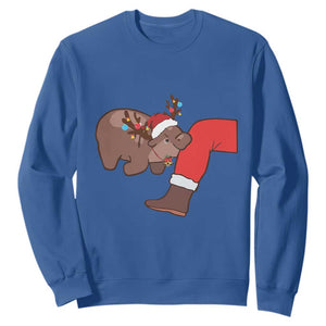 Funny Moo-Deng Christmas Sweatshirt MooDengMas Xmas Baby Pygmy Hippo Cute Zoo For Family Tee TS10 Royal Blue Print Your Wear