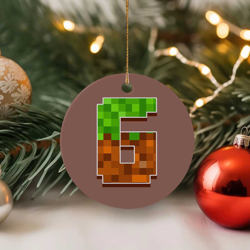 Number 6 Ceramic Ornament Game Matching 67 Meme Costume 6th Birthday 6 Years TS10 1pc Mocha Print Your Wear