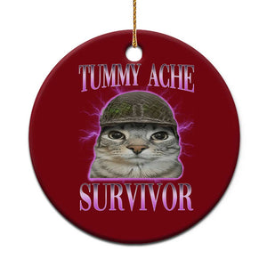 Tummy Ache Survivor Cat Meme Ceramic Ornament Funny Trending Oddly Specific Brainrot Memes TS10 1pc Red Print Your Wear