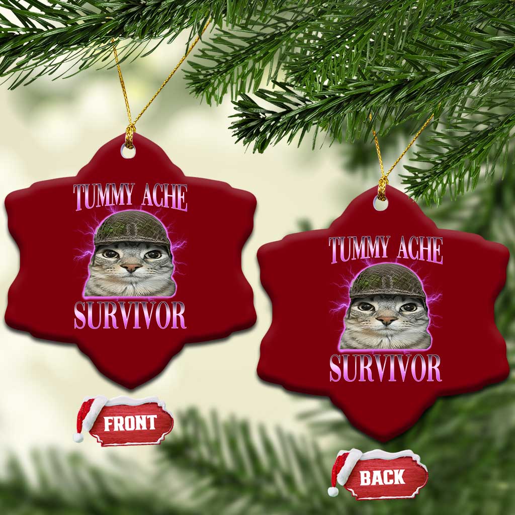 Tummy Ache Survivor Cat Meme Ceramic Ornament Funny Trending Oddly Specific Brainrot Memes TS10 Print Your Wear