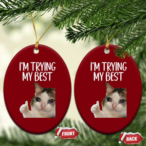 Im Trying My Best Funny Crying Cat Meme Ceramic Ornament TS10 Print Your Wear