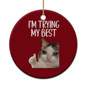 Im Trying My Best Funny Crying Cat Meme Ceramic Ornament TS10 1pc Red Print Your Wear