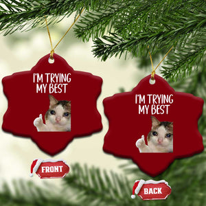 Im Trying My Best Funny Crying Cat Meme Ceramic Ornament TS10 Print Your Wear