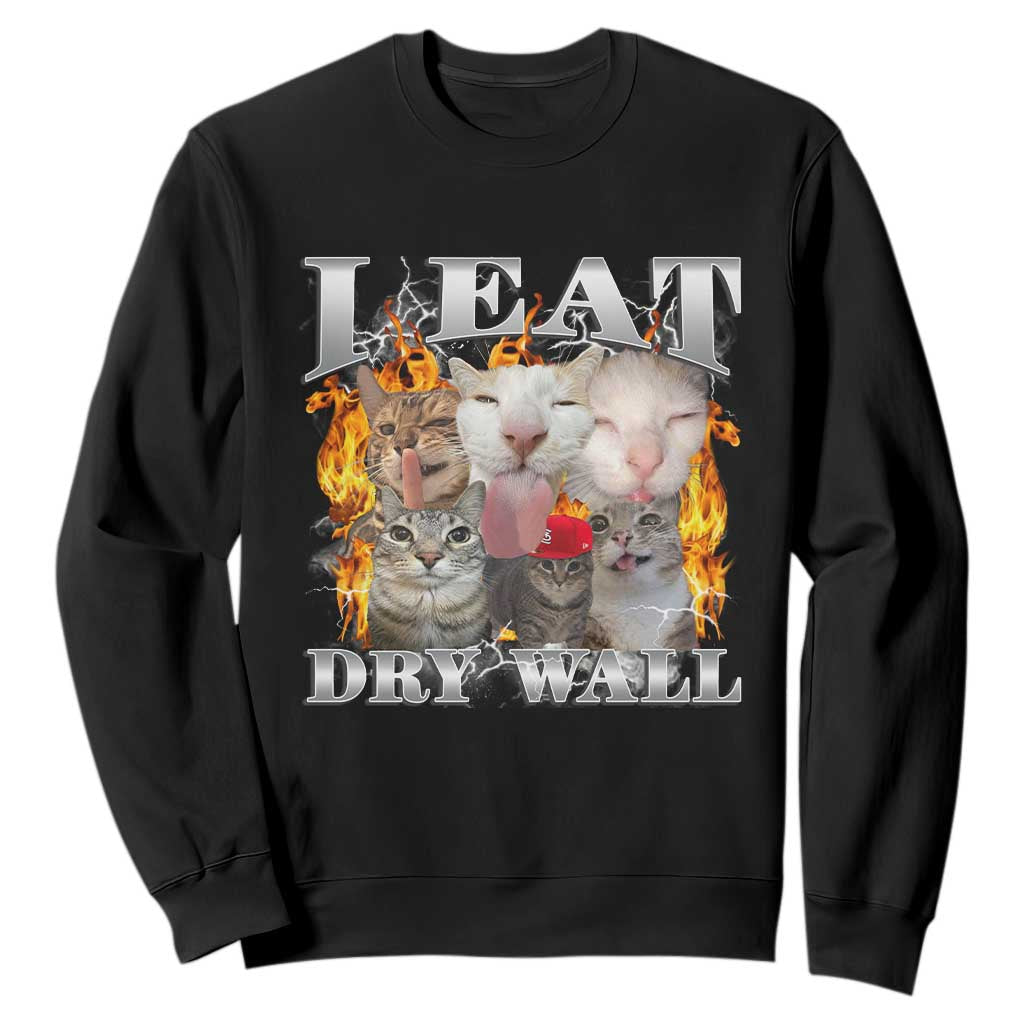 Funny Cat Meme Bootleg Graphic Sweatshirt I Eat Drywall Funny Weird Cursed Internet Memes TS10 Black Print Your Wear