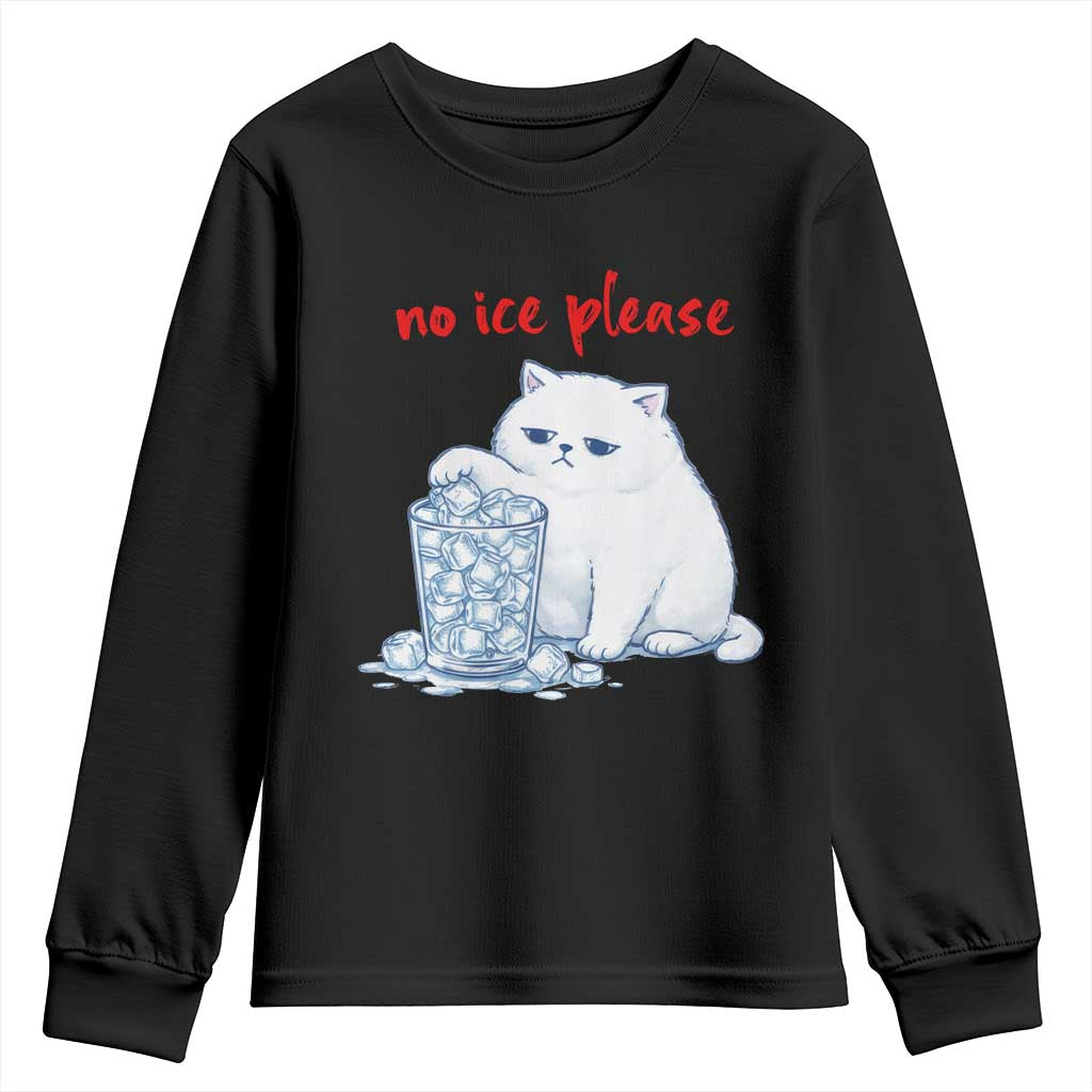 Abolish Ice Protest Youth Sweatshirt Subtle FDT Cat Meme No Ice Please TS10 Black Print Your Wear