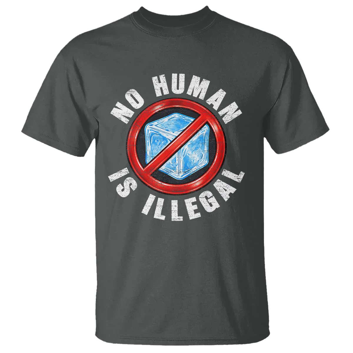 Abolish Ice No Human is Illegal T Shirt Retro Protest Subtle FDT TS10 Dark Heather Print Your Wear