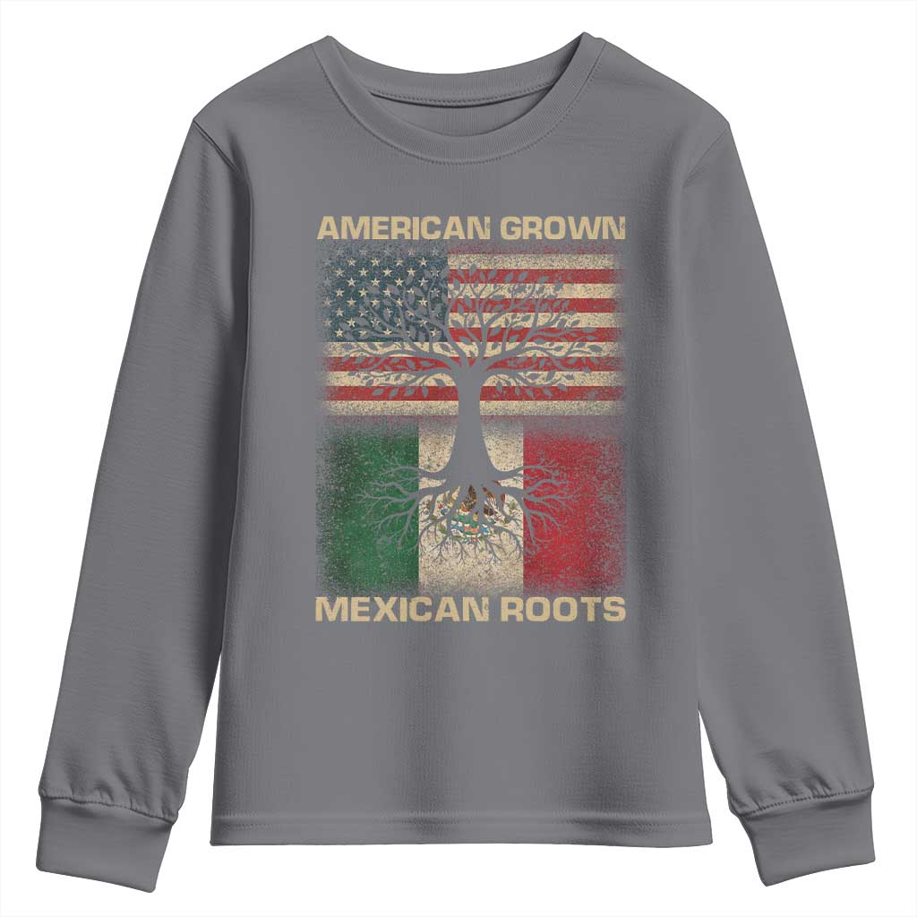 American Grown Mexican Roots Youth Sweatshirt Retro Mexico America Flag TS10 Charcoal Print Your Wear