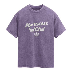 Awesome Wow Washed Cotton T-Shirt Alexander Hamilton Lover