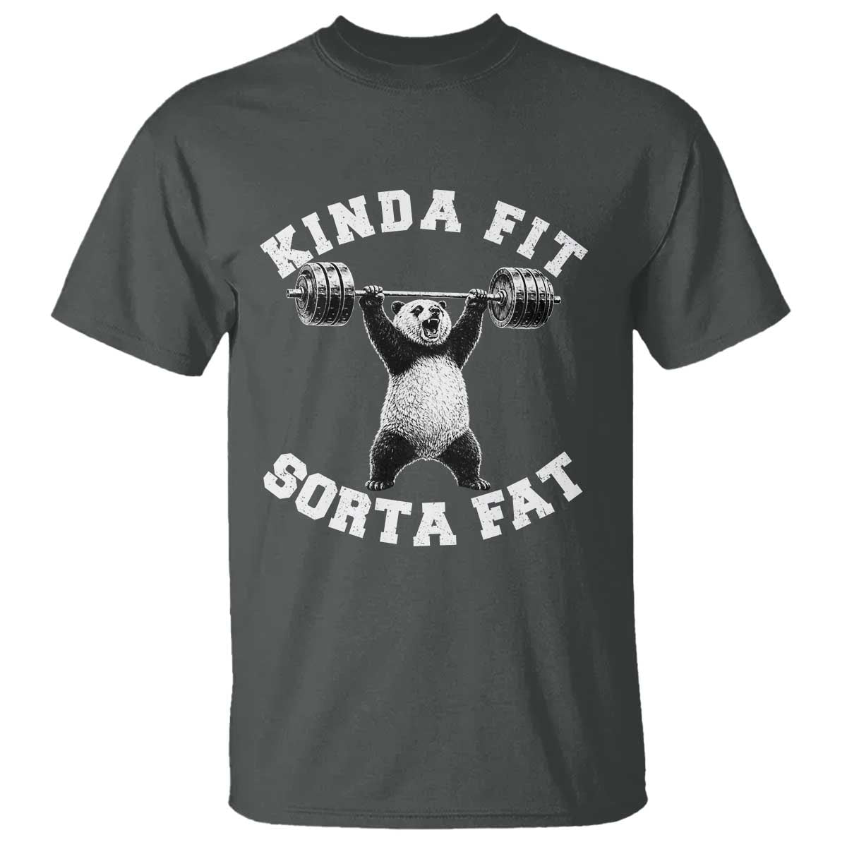 Funny Gym T Shirt Kinda Fit Sorta Fat Panda Weightlifting Workout TS10 Dark Heather Print Your Wear